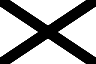 [Southern Nationalist Flag]